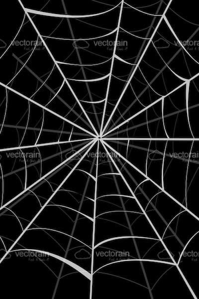 Spider Web Background in Black and White - Vectorjunky - Free Vectors,  Icons, Logos and More