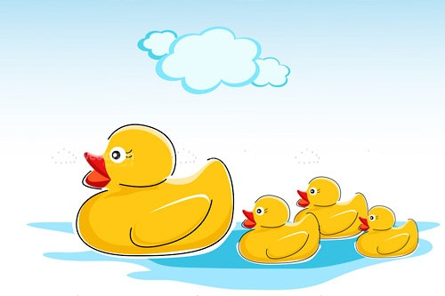 cartoon ducks swimming